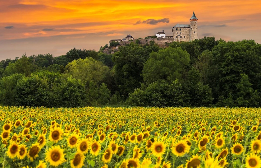 De los aromas del lúpulo a las vistas desde el Castillo de Praga, disfruta de Chequia con los cinco sentidos