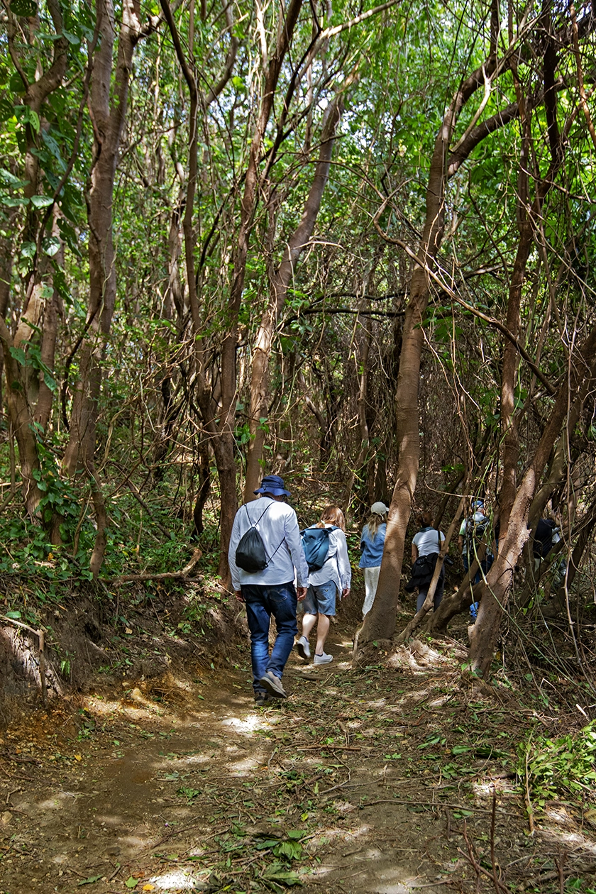 El Salvador, Natural inspiration