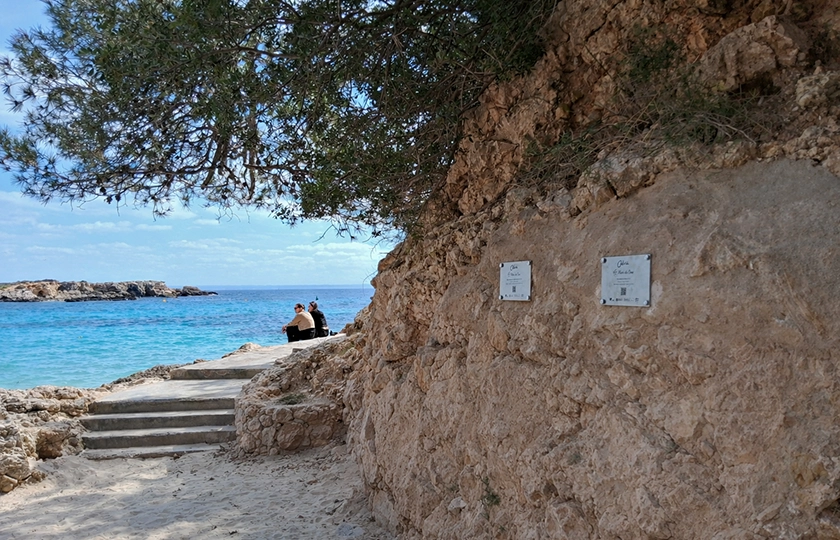 Magaluf impulsa su transformación hacia un turismo de calidad y experiencias culturales en Calvià