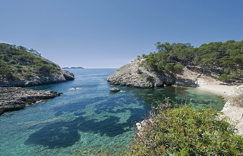Magaluf impulsa su transformación hacia un turismo de calidad y experiencias culturales en Calvià