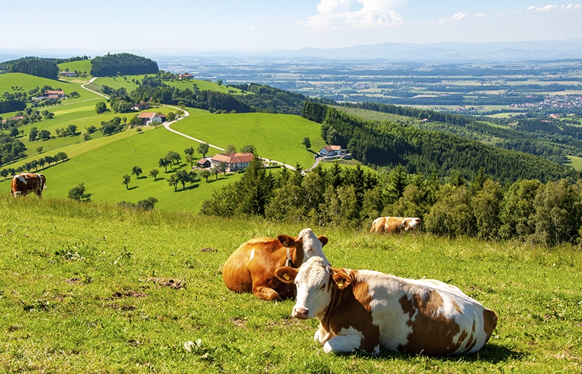 Ruta Romántica Austriaca