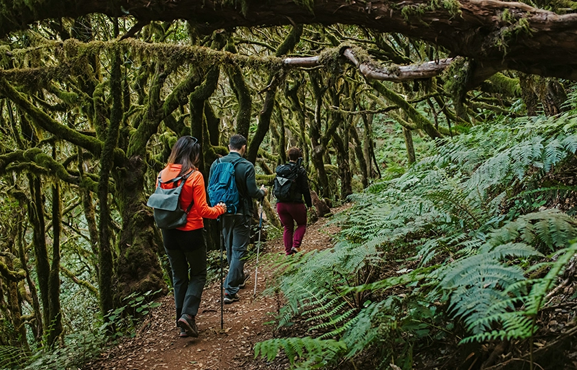 El ecoturista, un viajero fiel a los espacios naturales que busca descubrir nuevos destinos en cada viaje