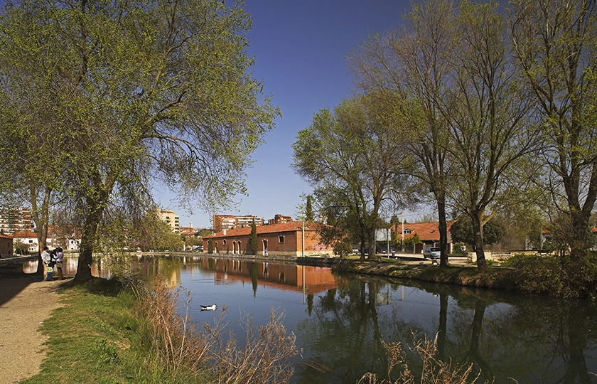 Las arterias de la estepa