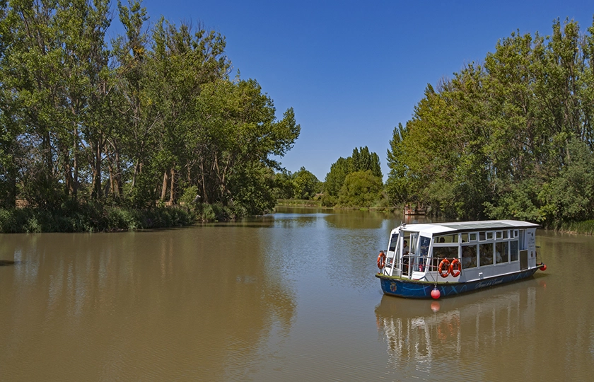 Las arterias de la estepa