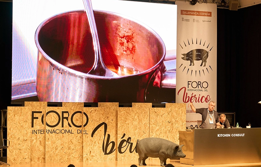Salamanca ha acogido la quinta edición del Foro Internacional del Ibérico, organizado por el Ayuntamiento de Salamanca y la Diputación Provincial, en colaboración con Gastroactitud.