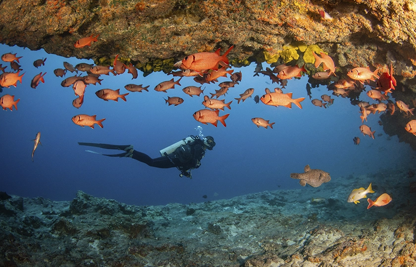 El lujo que protege el paraíso: así es el modelo sostenible de Las Islas de Tahití
