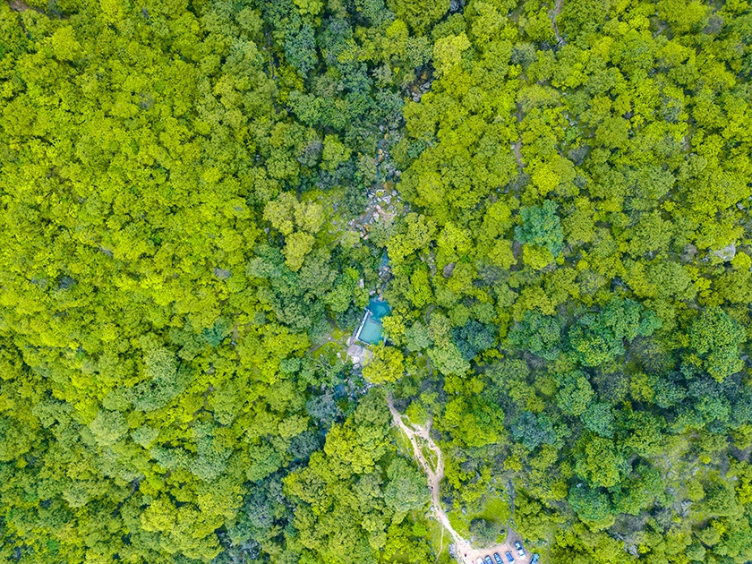 Ain Razat, el rincón imperdible de Salalah durante la temporada Khareef