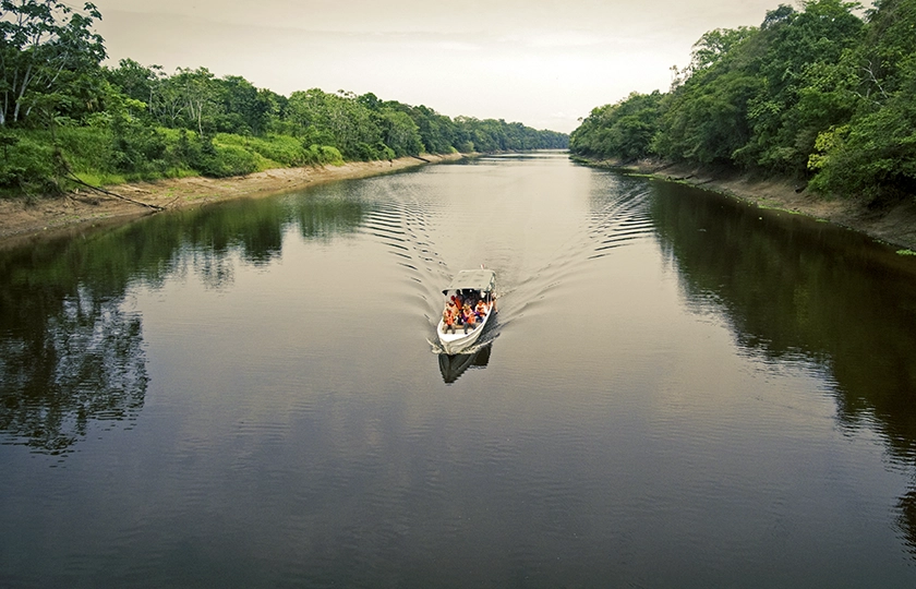 Del río al bosque amazónico: así se descubre la Amazonía peruana en Loreto