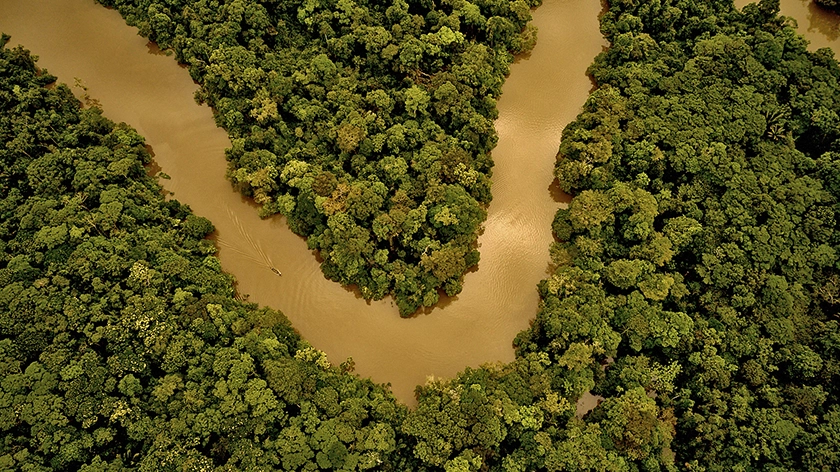 Del río al bosque amazónico: así se descubre la Amazonía peruana en Loreto
