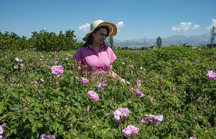 ISPARTA: the city of roses
