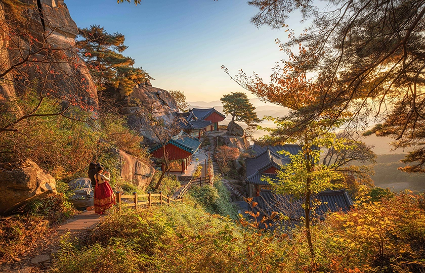 Qué hay de nuevo en Corea este otoño