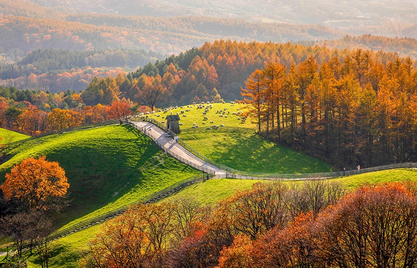 Qué hay de nuevo en Corea este otoño