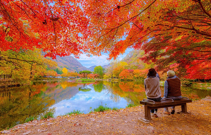 Qué hay de nuevo en Corea este otoño
