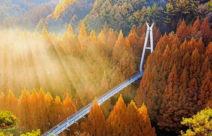 Qué hay de nuevo en Corea este otoño