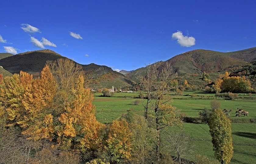 VIAJE AL CORAZÓN VERDE