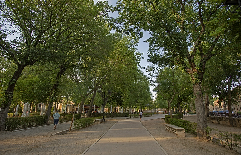 The city of the ‘Doncel’