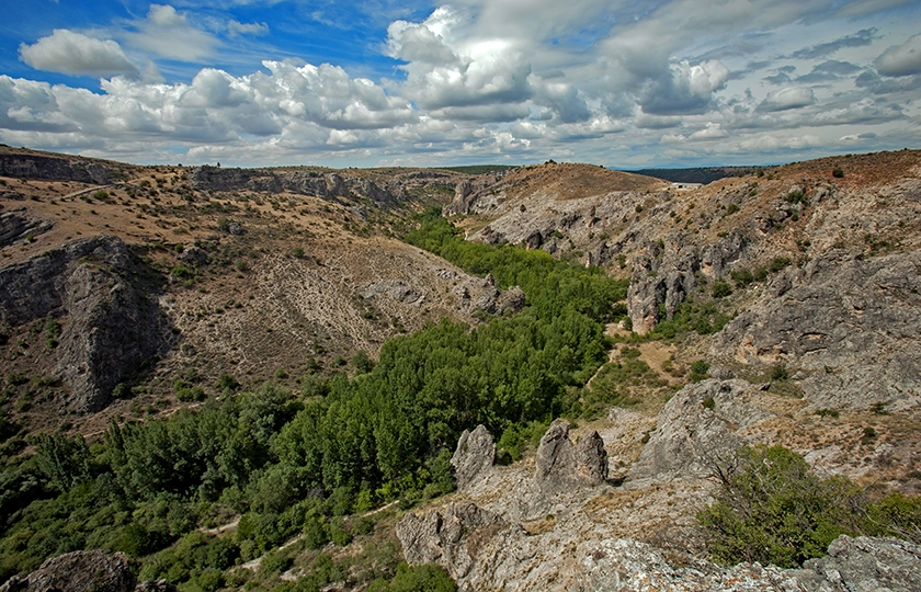 The city of the ‘Doncel’