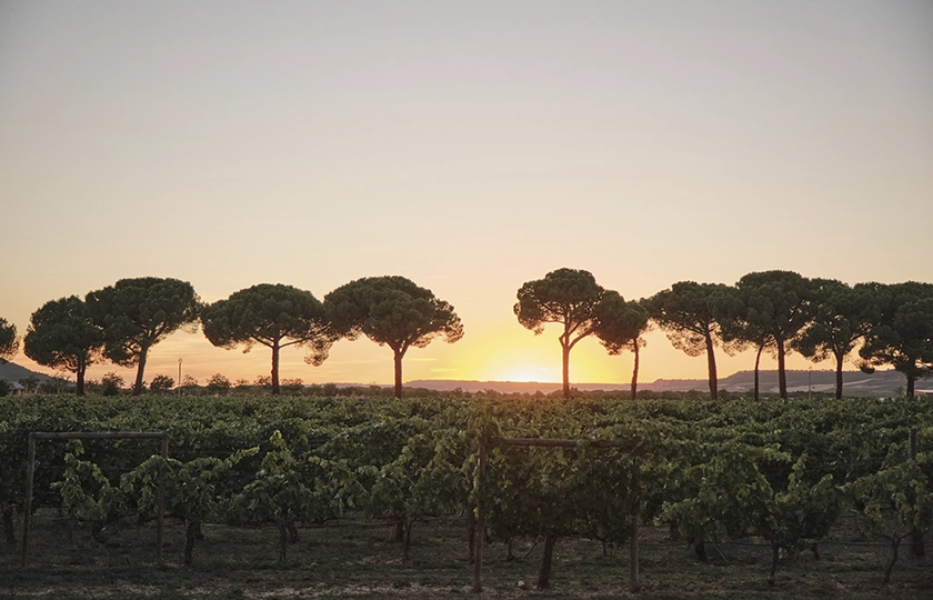 Villacreces se cita con el atardecer