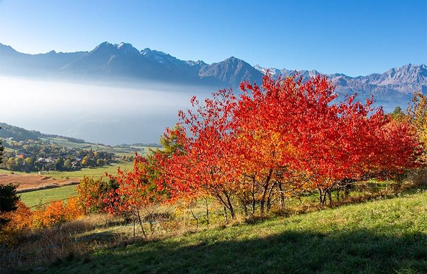 Un otoño para disfrutar en el Valle de Aosta