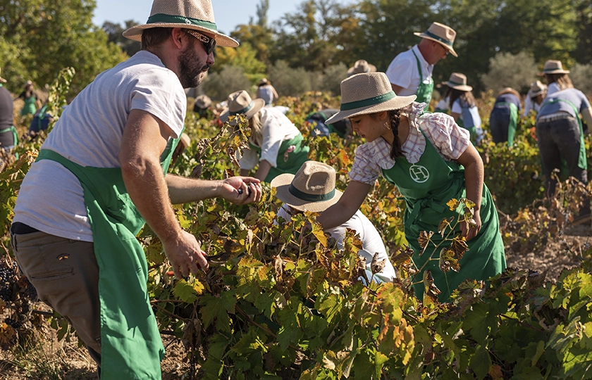 Hacienda Zorita Wine Hotel celebra la vendimia y reivindica el sabor de la tierra salmantina