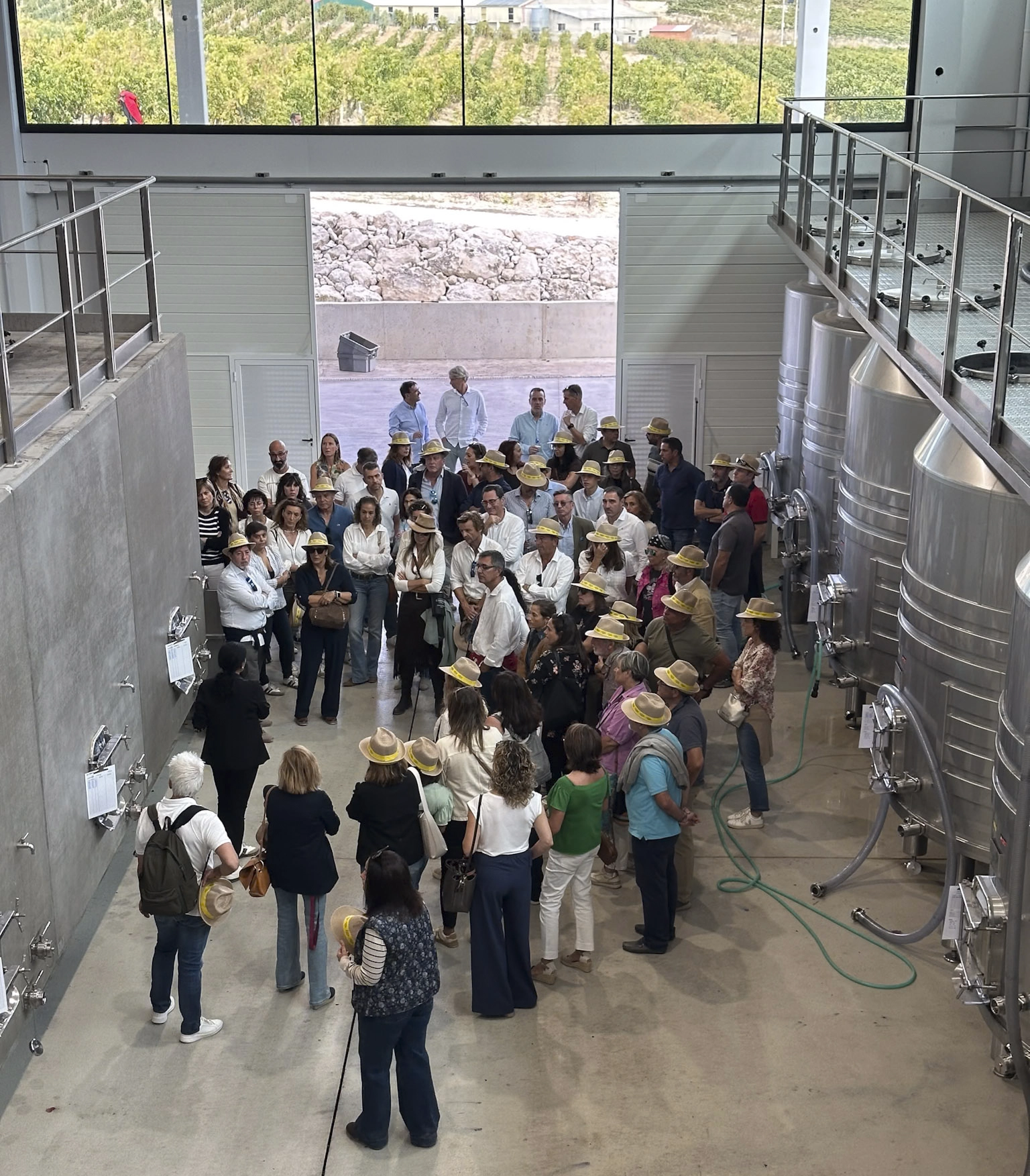¿Y si pudieras probar un vino justo cuando nace?
