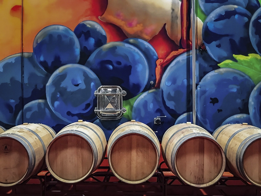 ¿Y si pudieras probar un vino justo cuando nace?