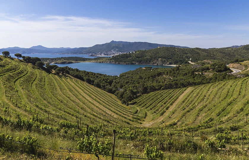 La Costa Brava más exquisita: experiencias enoturísticas únicas