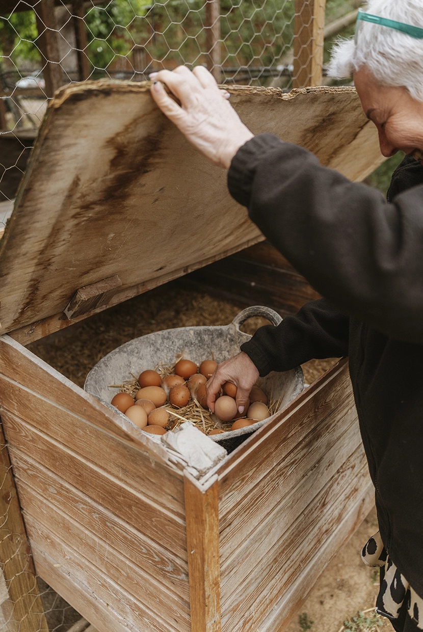 La Costa Brava más exquisita: experiencias enoturísticas únicas
