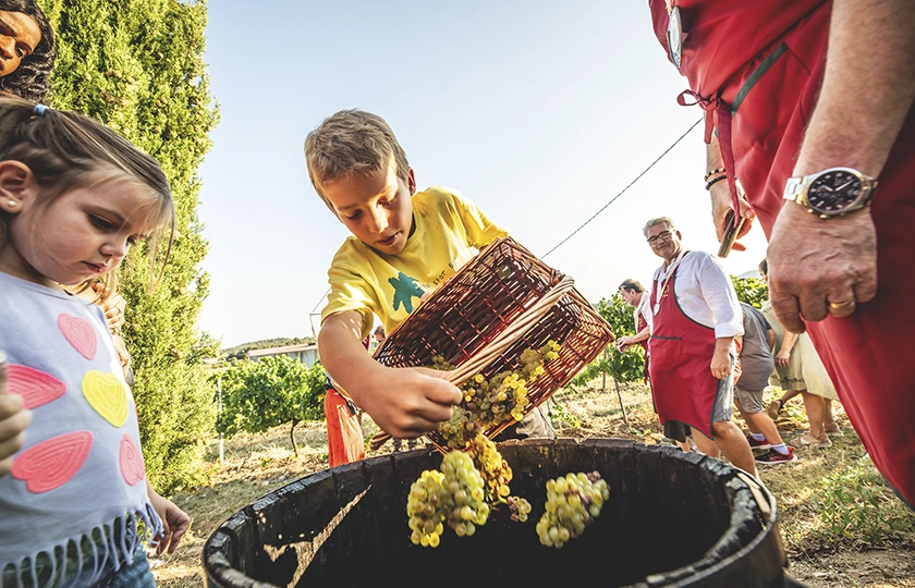 La Costa Brava más exquisita: experiencias enoturísticas únicas