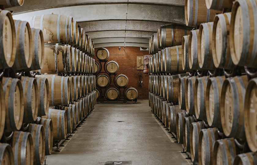 Hungría en tiempos de vendimia: cinco regiones para degustar sus mejores vinos