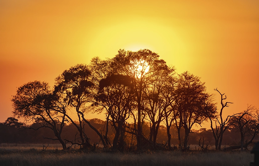 Luiana Plains Expedition Camp abre la puerta a una de las zonas más remotas de Angola