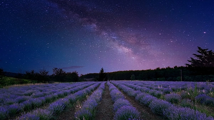 ALBACETE TIENE EL PRIMER CIELO STARLIGHT DEL MUNDO