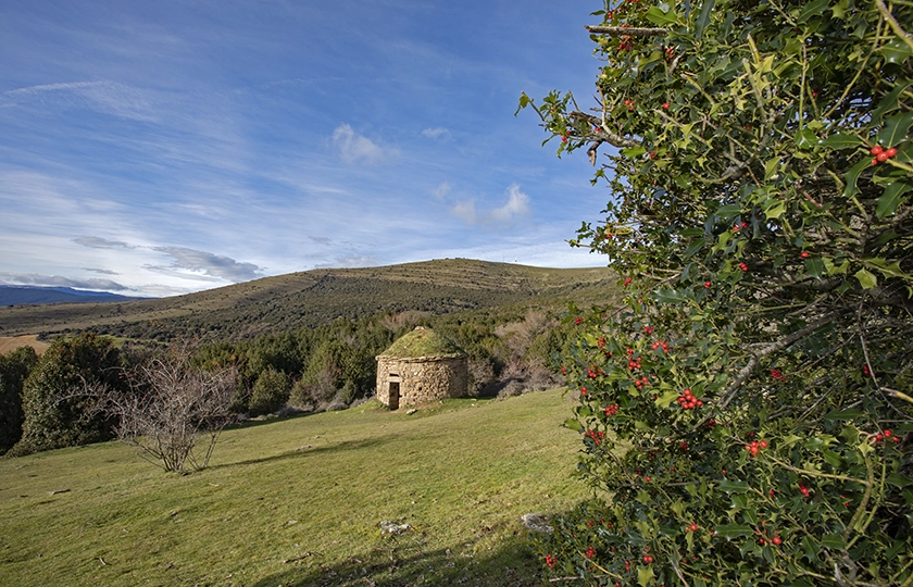 El legado de las Tierras Altas. Huellas en el paisaje