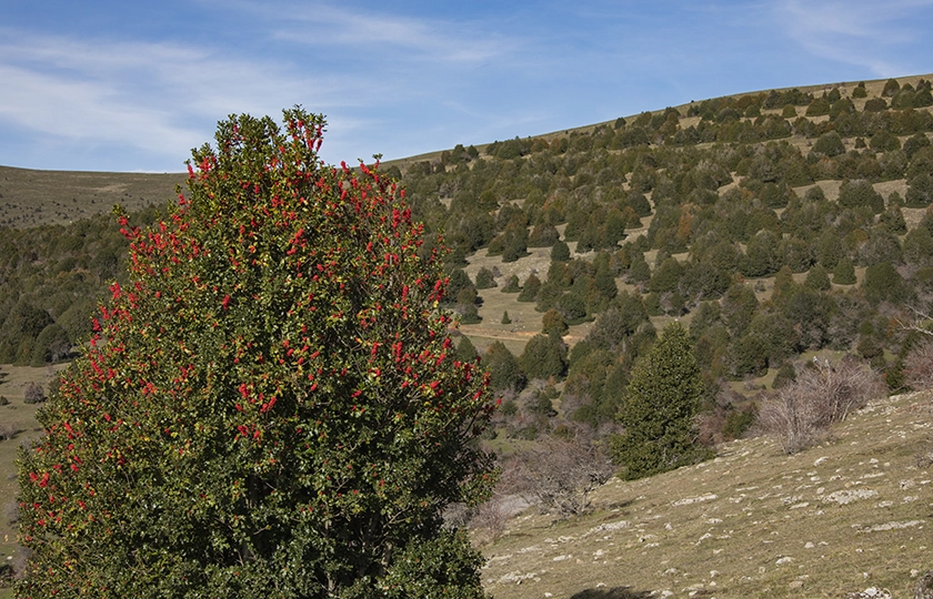 Legado de las Tierras Altas. Traces in the landscape