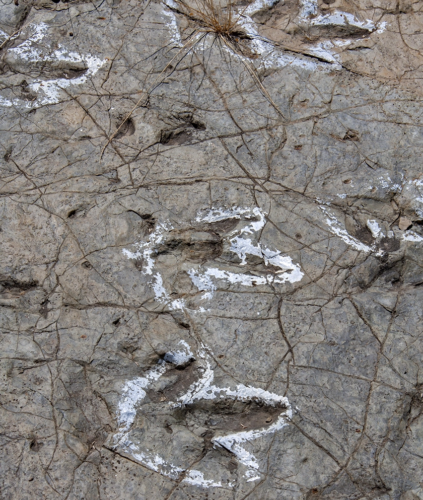 Legado de las Tierras Altas. Traces in the landscape