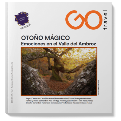 Go Travel 13